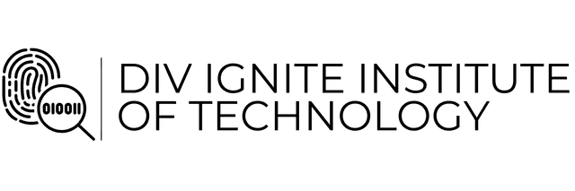Divignite Logo